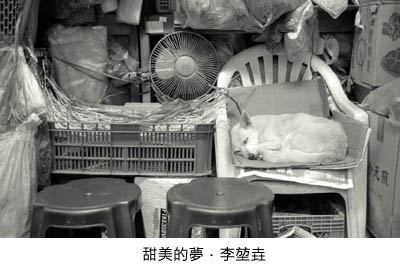 甜美的夢 -方土